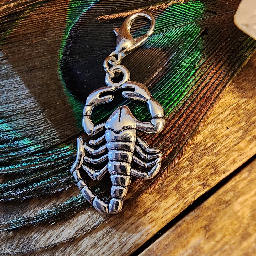 Scorpion Charm for Scorpio Zodiac Charm Bracelet Silver Scorpion Pendant Zipper